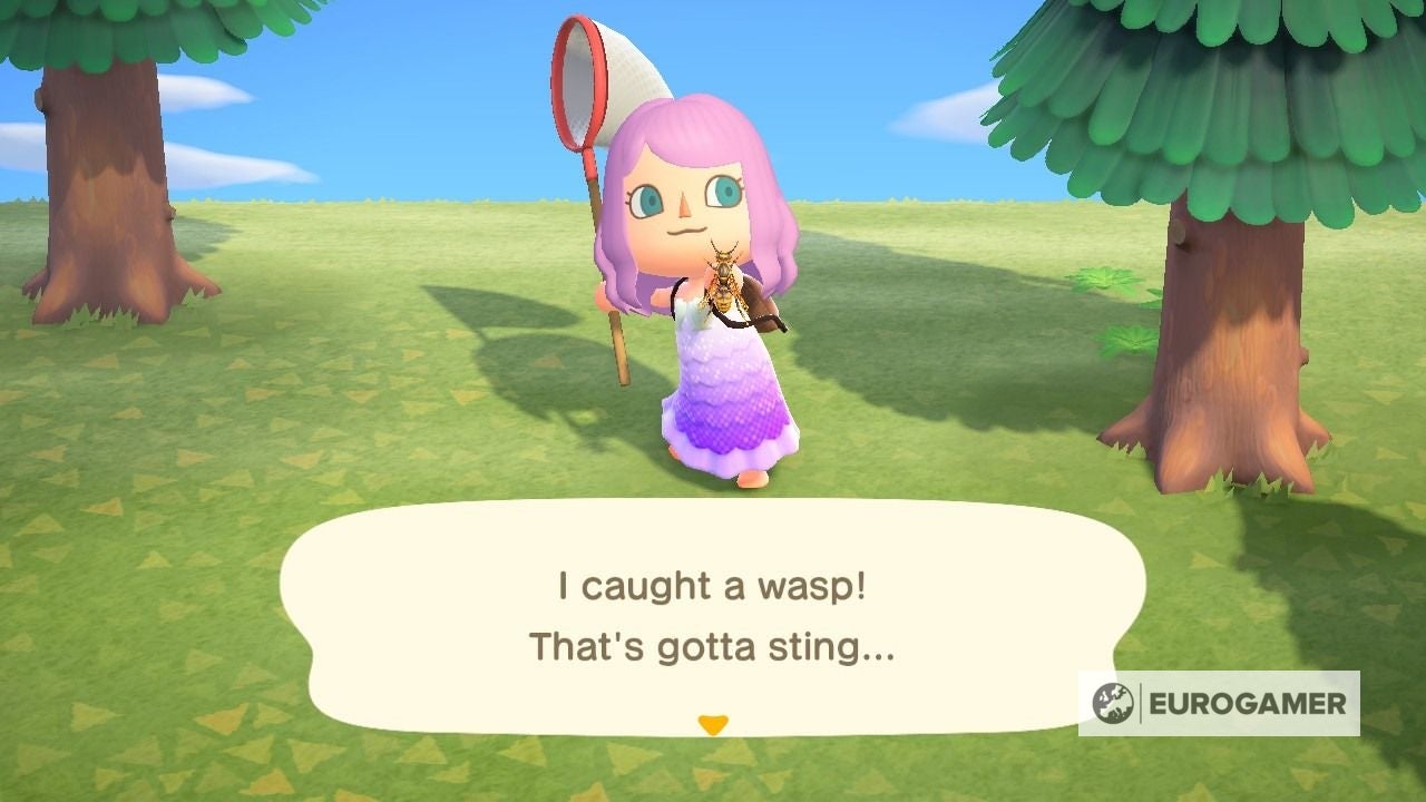 Wasp Price Animal Crossing